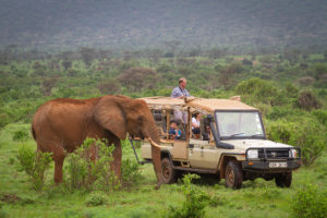 Samburu National Reserve 